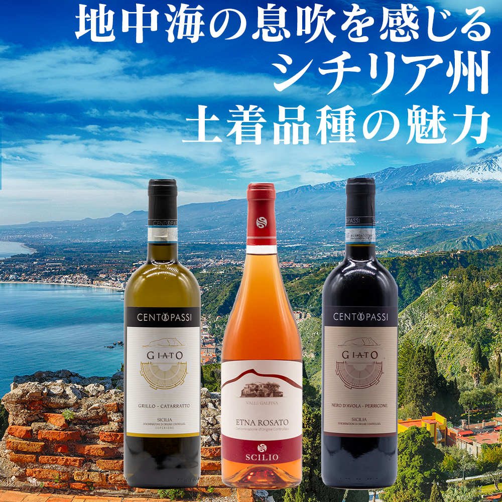 シチリア州を旅するワイン3本セット(送料込)