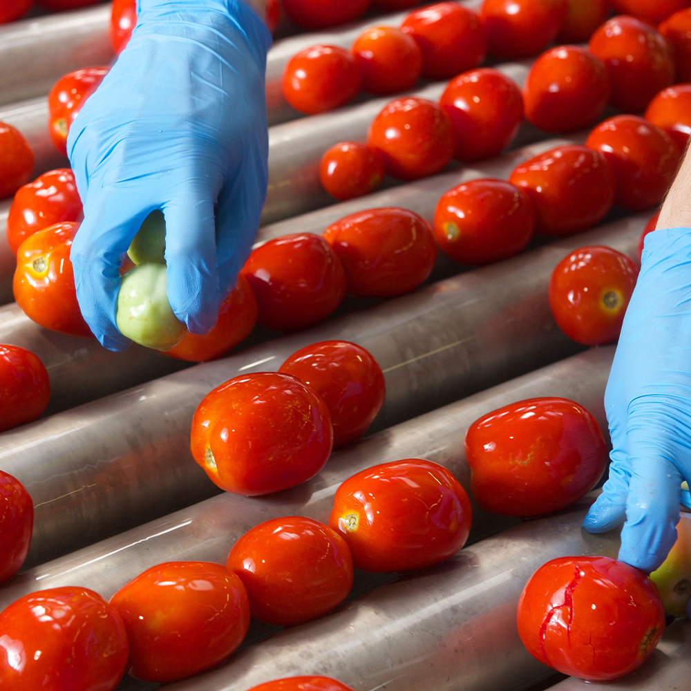 有機トマトを使った美味しいパッサータ