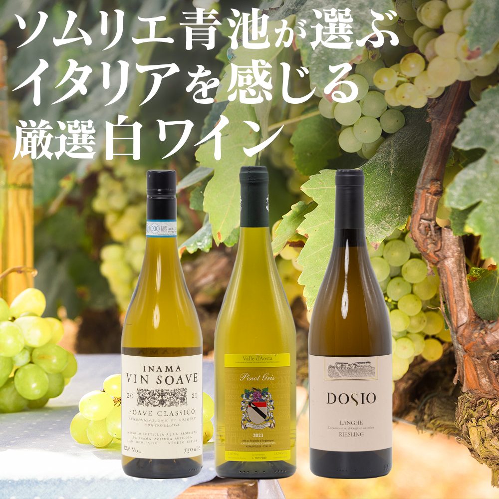 白ワイン好きのソムリエ青池が選ぶ、おすすめ白ワイン3本セット
