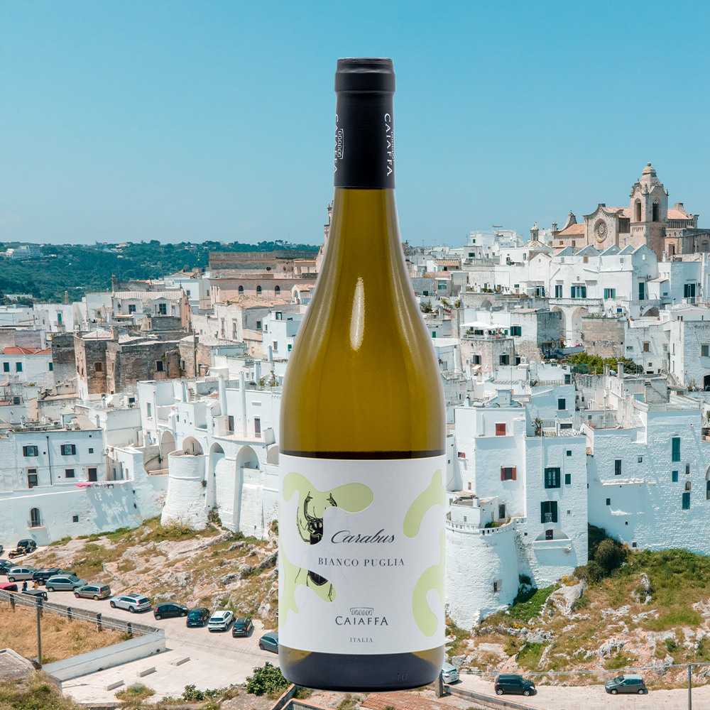 カイアッファ /「カラブス」プーリア・ビアンコ