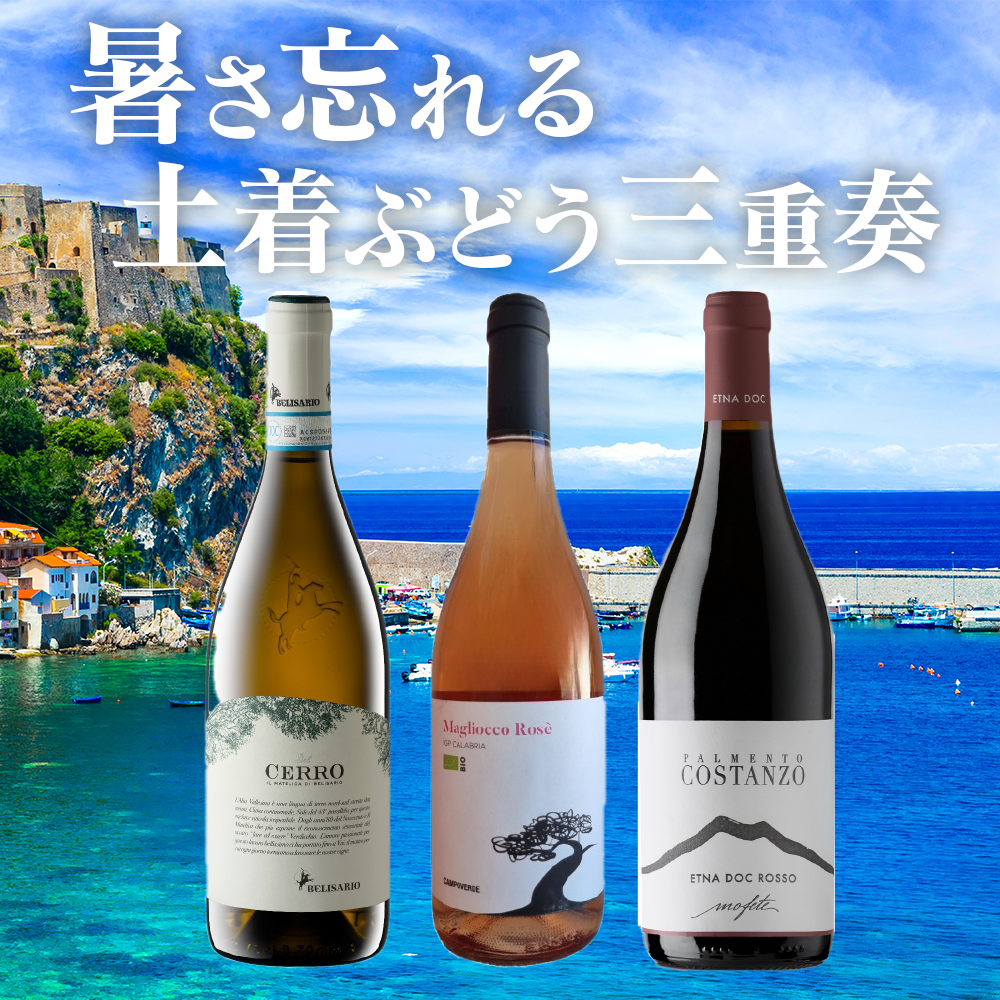 100％イタリア土着品種】暑さを忘れ、心満たす夏ワイン三重奏