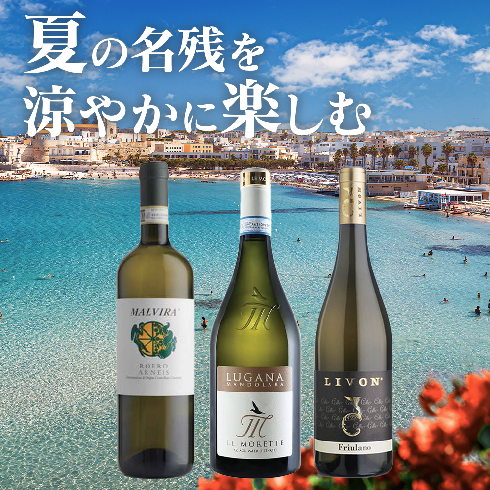 日々の疲れをなかったことに!残暑に飲みたい白3本セット