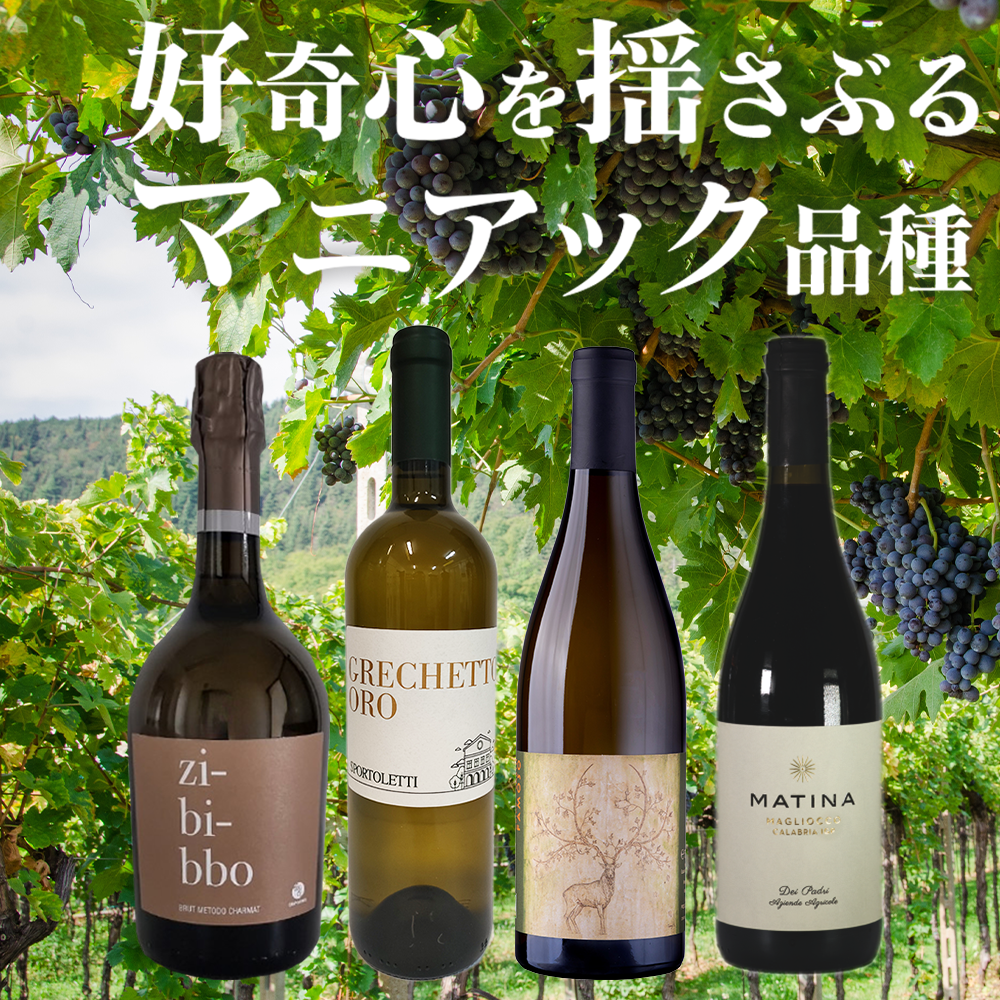 【隠れた宝石】マニアックなイタリア土着品種と出会う4本セット