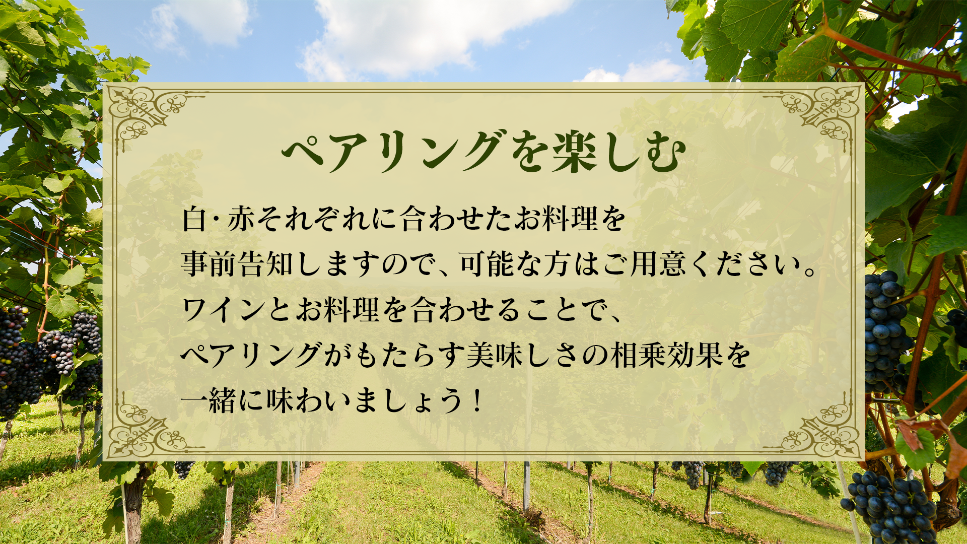 【7/14(日) 開催】 みんな一緒に生配信で盛り上がりましょう! 夏の生配信ワイン講座