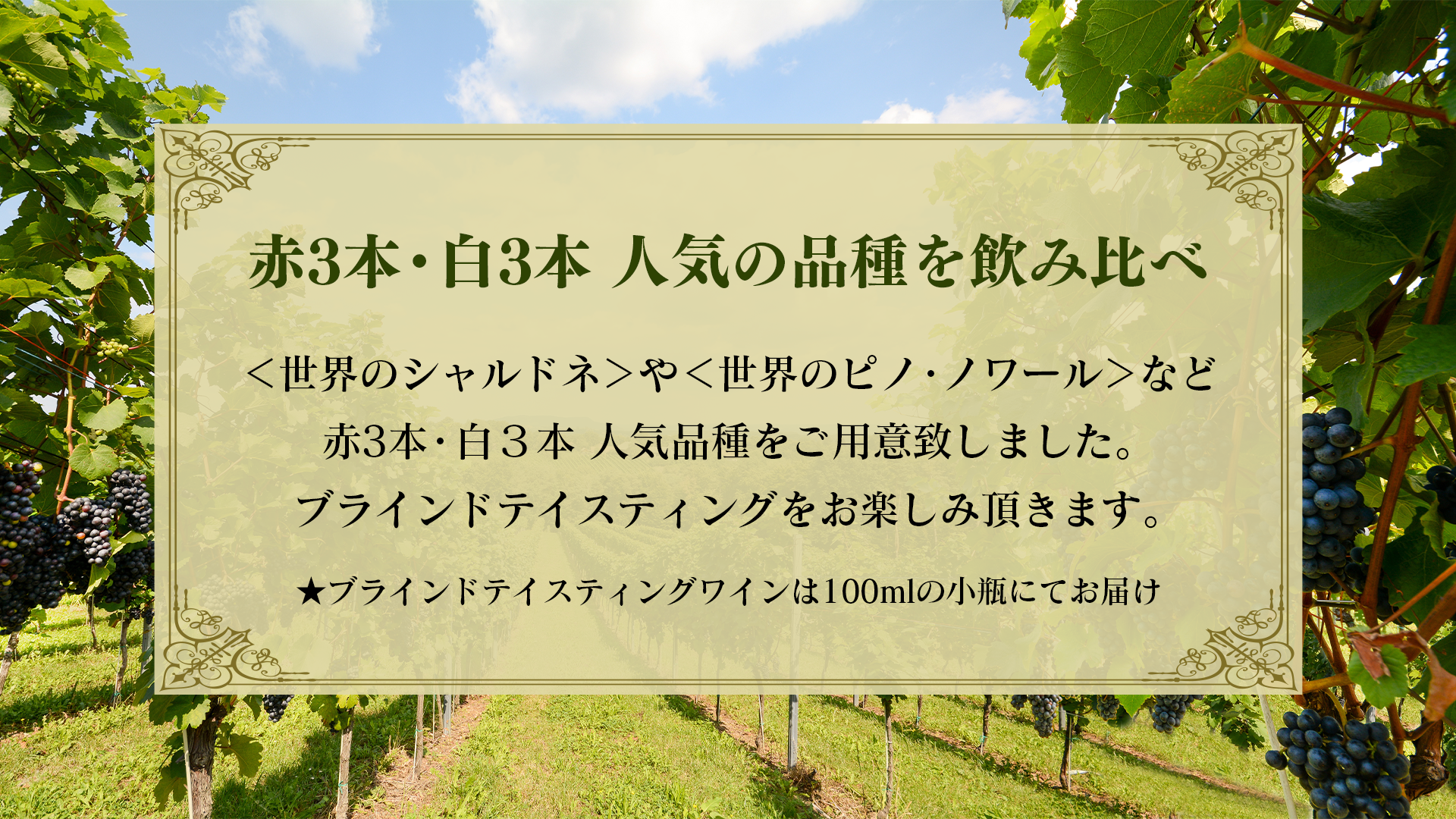 【7/14(日) 開催】 みんな一緒に生配信で盛り上がりましょう! 夏の生配信ワイン講座