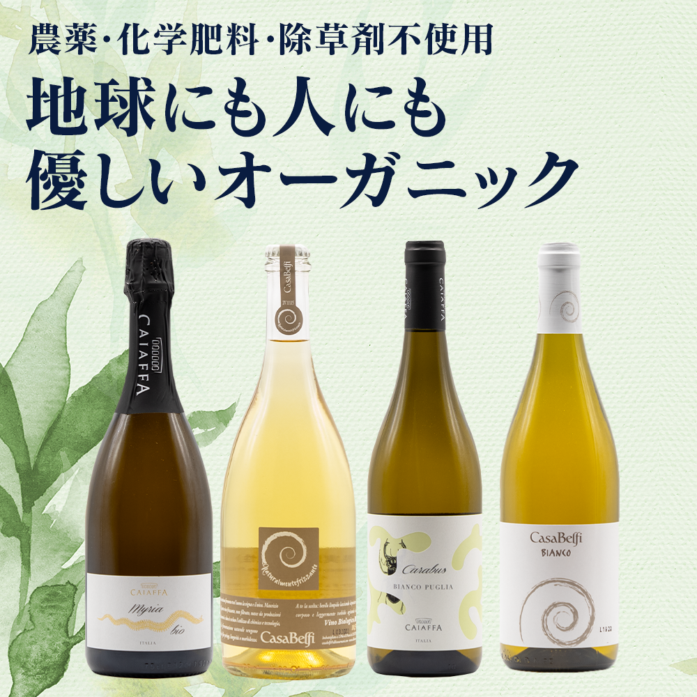 オーガニックワイン4本セット