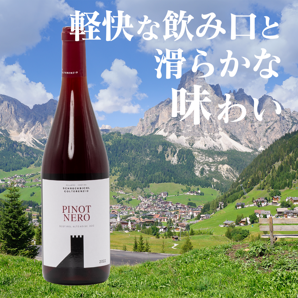 コルテレンツィオ / ピノネロ アルトアディジェ コルテレンツィオ / ピノネロ アルトアディジェ