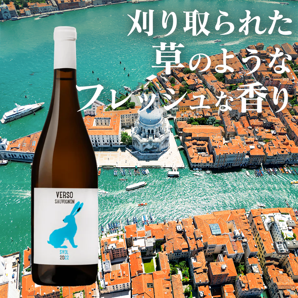 【完売商品】エディットフォールル　VERSO/ヴェルソ ヴェルソ / ソーヴィニヨン スヴォル