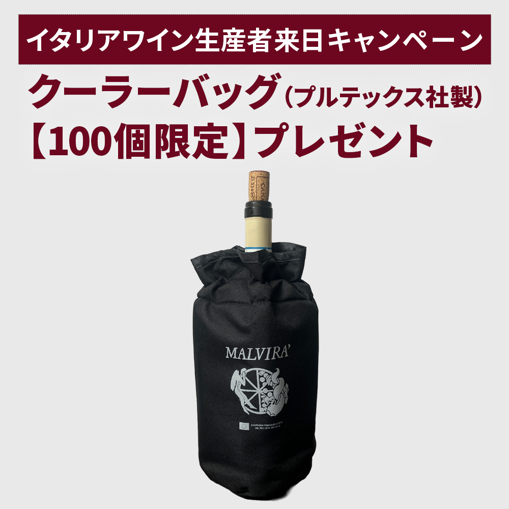 【生産者来日記念・超豪華特典付き】マルヴィラの魅力が詰まった泡・白・赤3本セット