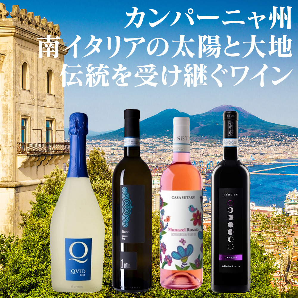 カンパーニャ州を旅するワインセット(送料込)