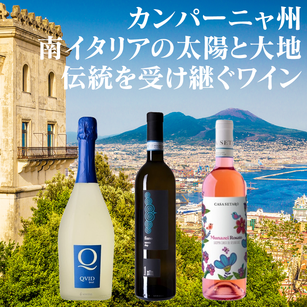 カンパーニャ州を旅するワインセット(送料込)