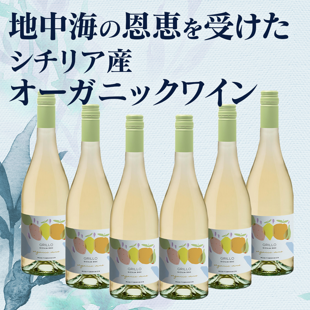 オーガニックワイン6本セット