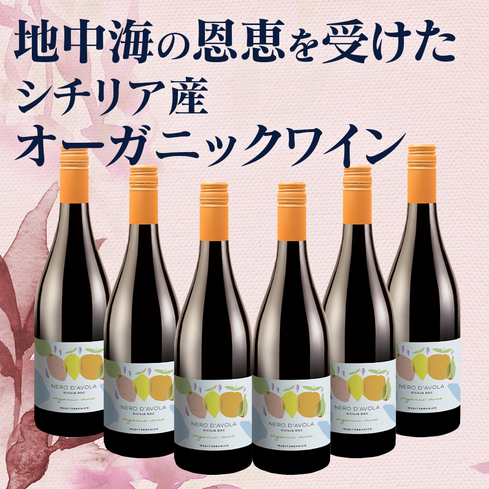 オーガニックワイン6本セット