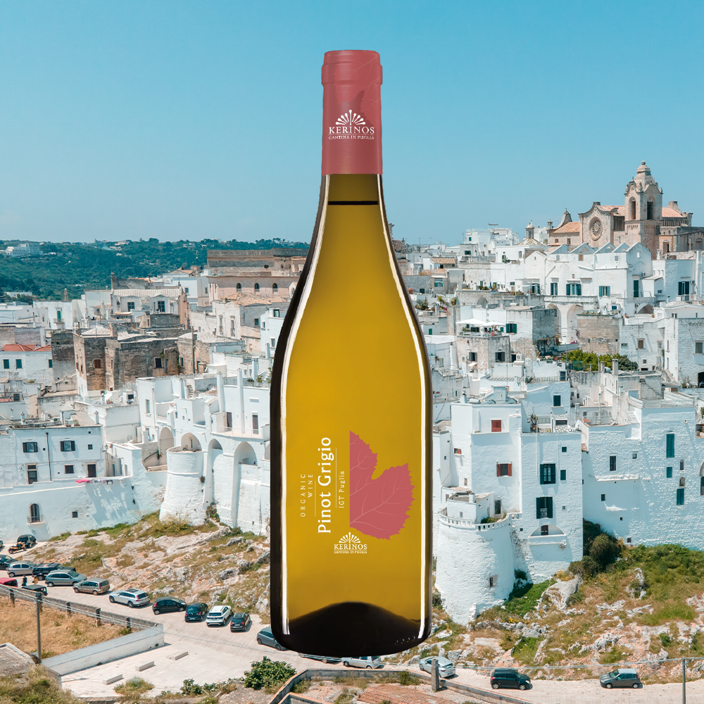 【お得な飲み比べ】プーリアで人気の自然派ワイナリーを満喫する4本セット